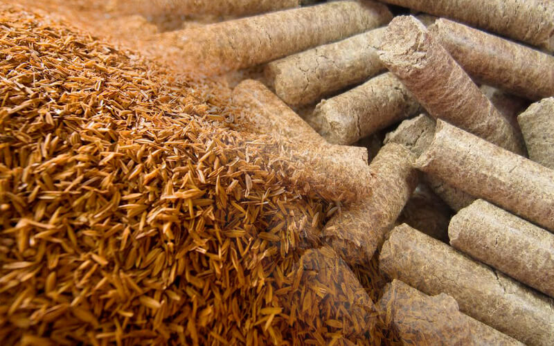 Rice Husk Supplier In Pakistan