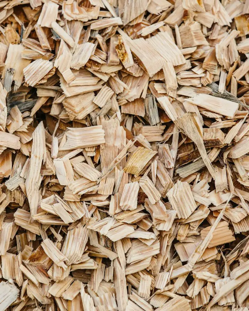 Wooden Chip Manufacturer In Pakistan