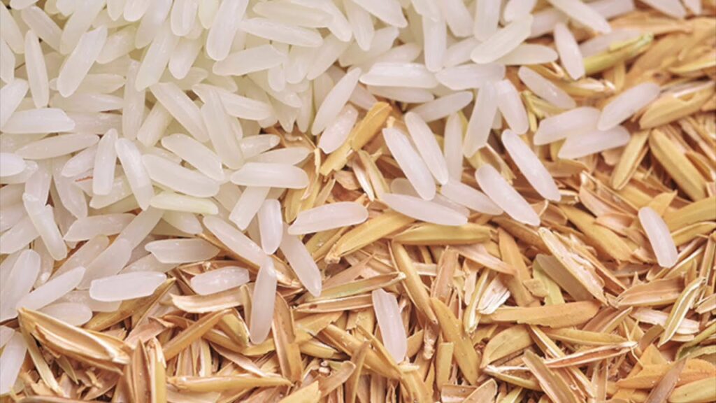 Rice Husk Exporter in Pakistan
