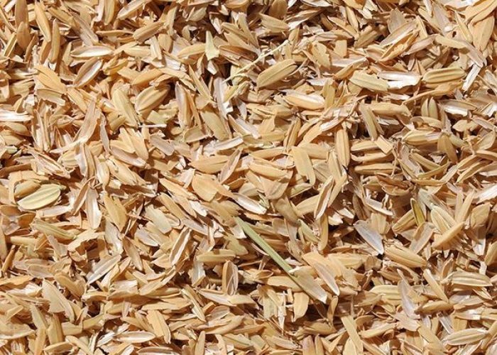Rice Husk Supplier In Pakistan